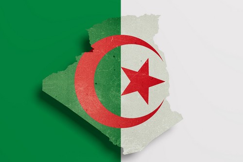 В Алжире прошла конференция «Оборонная инициатива 5+5» - ảnh 1